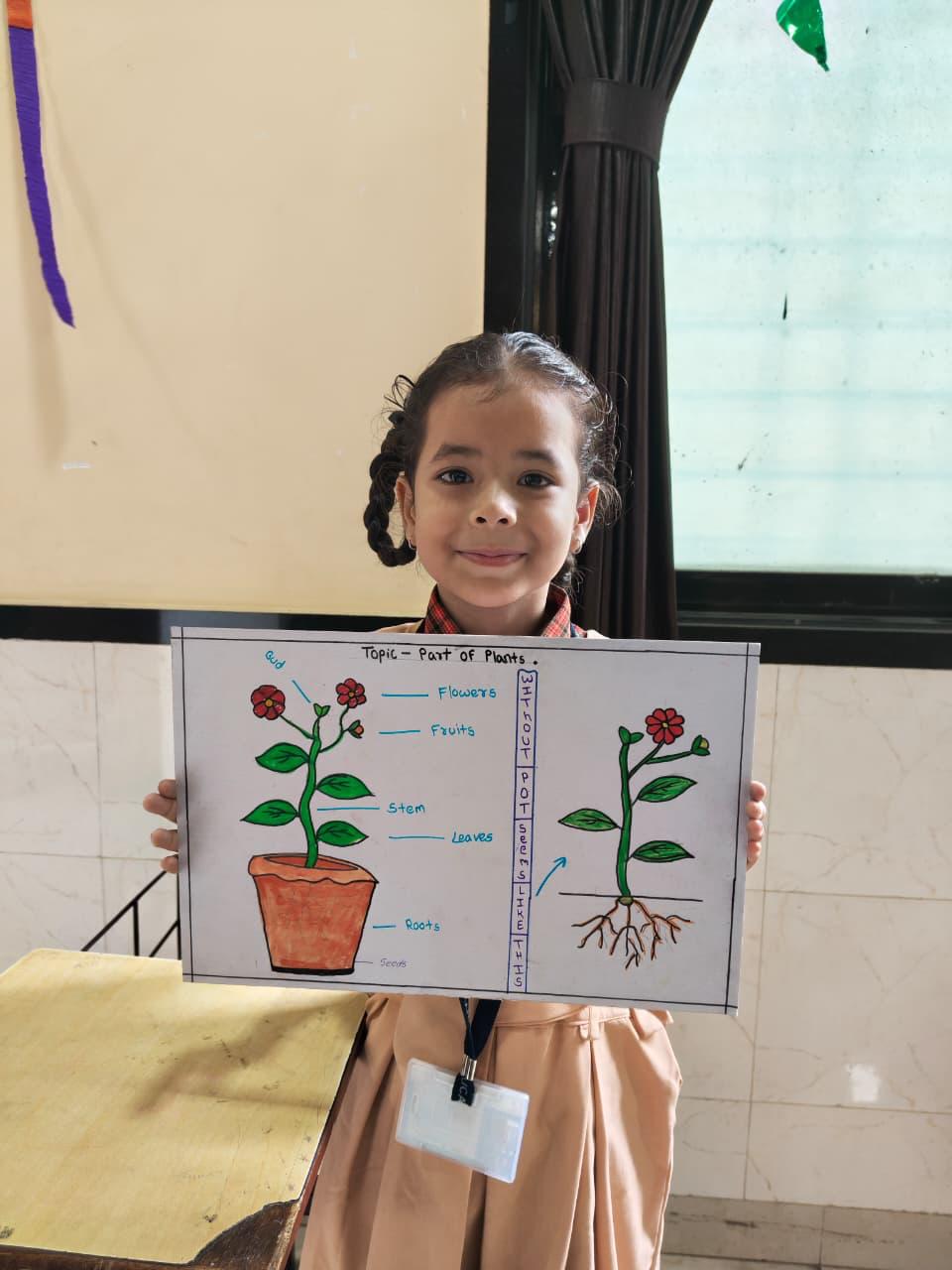 Mini Science Fair