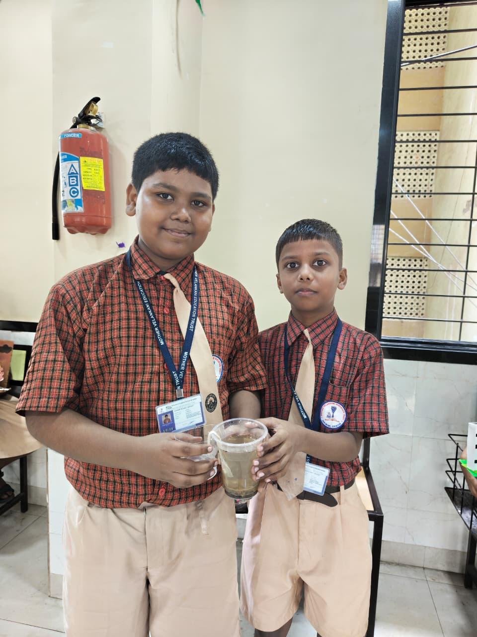 Mini Science Fair