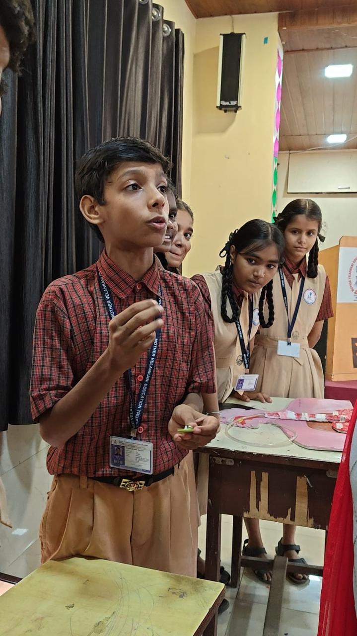 Mini Science Fair